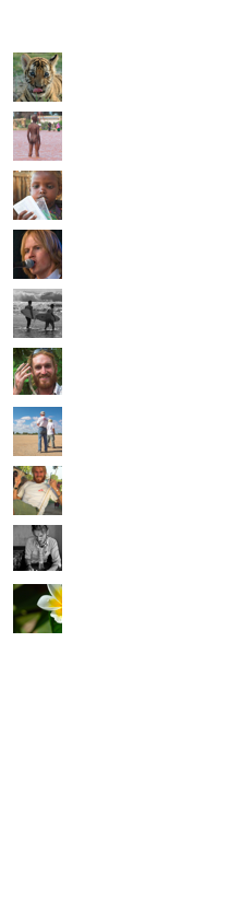 10 last albums published

￼
Tiger Cubs
Thailand
￼
Floods
Somalia
￼
El Garas
Somalia
￼
Bigbang
Trondheim
￼
Bali Zoo & Uluwatu
Indonesia
￼
Snakes & Lizards
Tanzania
￼
Airstrip and take-off
Somalia
￼
Swing and play
Somalia
￼
Bali Road Trip
Indonesia
￼
Gili Island
Indonesia

ALL ALBUMS
